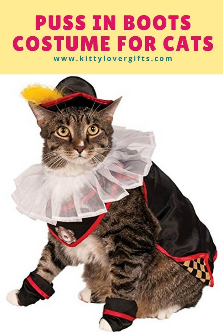 Puss In Boots Costume For Cats.
